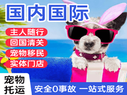 乌兰察布空运地址国际宠物托运 【国